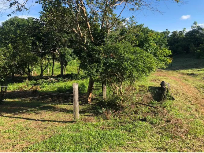 Chácara  de 11 Alqueiro curral casa de caseiro represa 3 nascentes na juquira