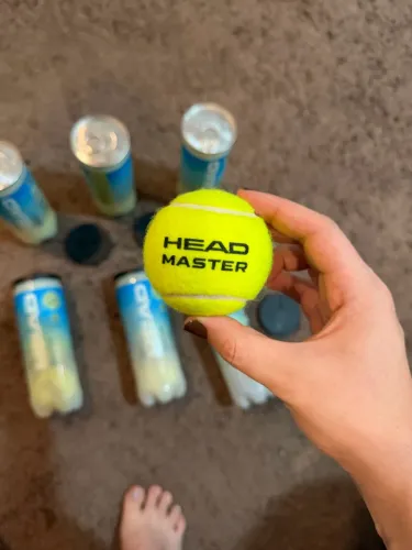 Bola De Tênis Head Master Pack Com 6 Tubos
