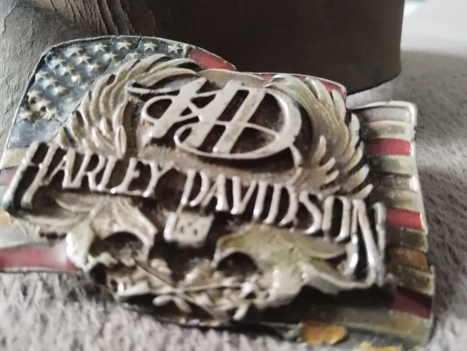CINTO HARLEY DAVIDSON