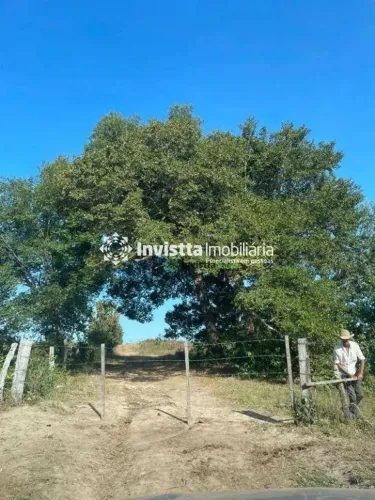 Fazenda à venda em Peixe TO com 1.040 alqueires, 2.900 hectares abertos e solo latossolo v