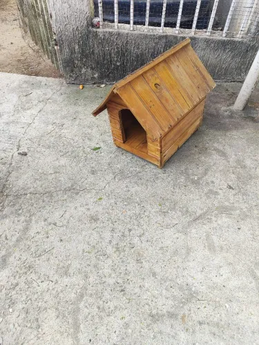 Casinha de Cachorro bom estado!!!