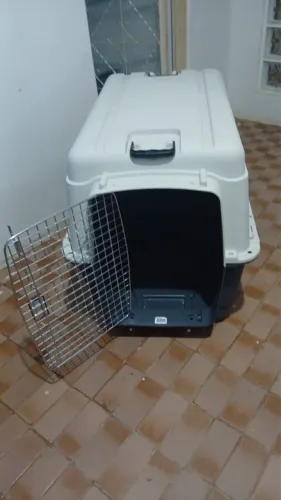 Caixa transporte cachorro tamanho G padrão IATA
