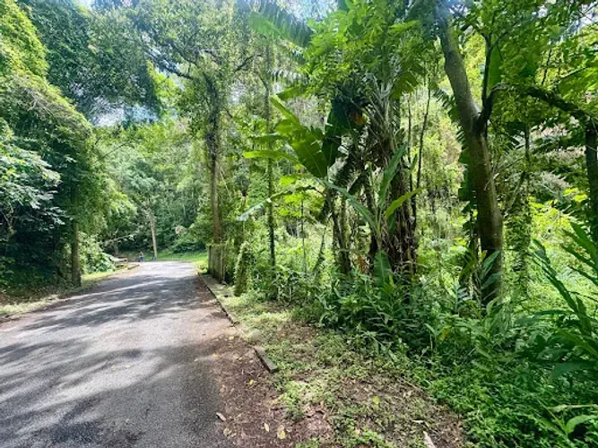 Terreno à venda, 6970 m² - Vila Amélia - Nova Friburgo/RJ