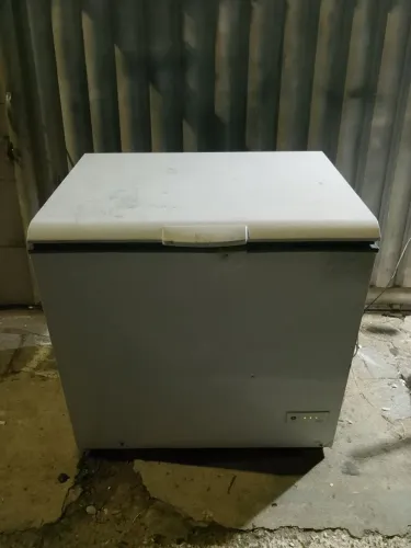 Frizze Consul
