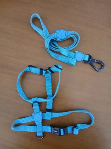 Coleira Peitoral Cães e Gatos Raças Pequenas (Zee.Dog / Tchucco)