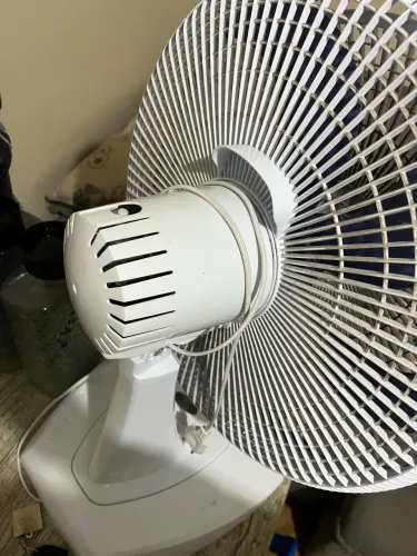 Ventilador mondial