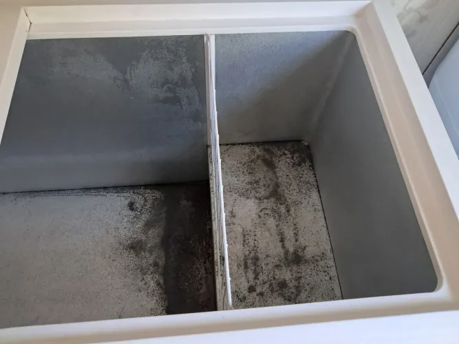 Venda de um freezer