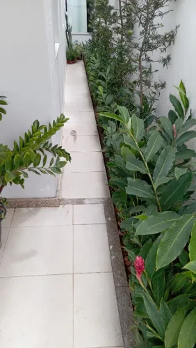 Jardinagem e limpeza de terrenos