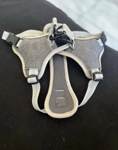 Coleira para cachorro tamanho M