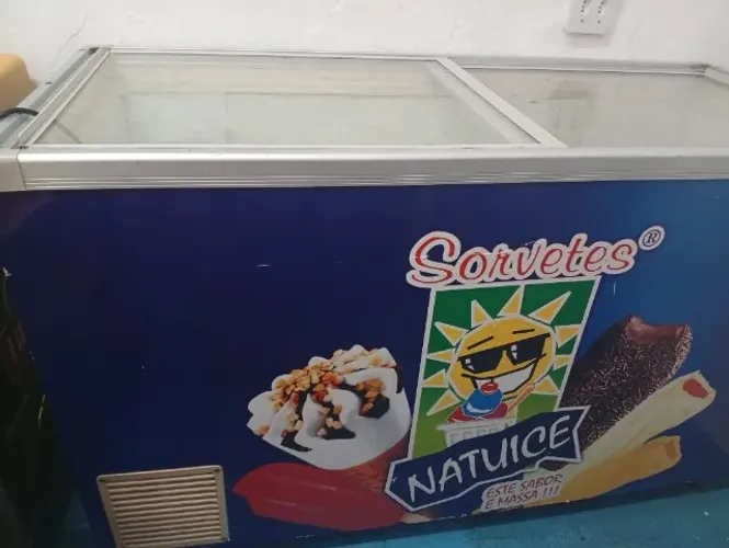 Freezer horizontal