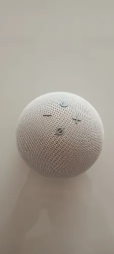 Echo dot 4