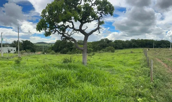 Chácara em Goianápolis, extremamente bem localizada (2,42 hectares).