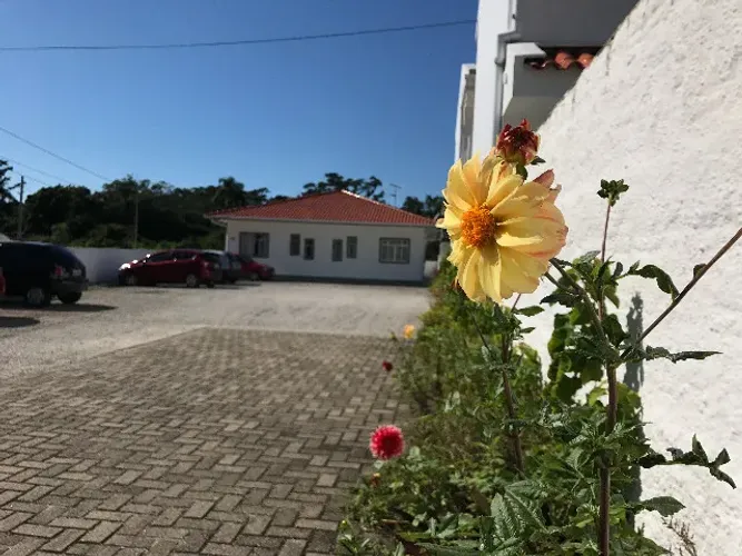 Alugo apartamento de um quarto no bairro Morro das Pedras - Sul da Ilha - Florianópolis