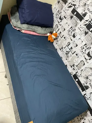 Cama box