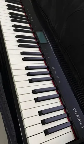 Teclado Sintetizador Roland Go Keys