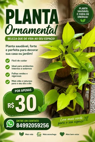 Plantas ornamentais