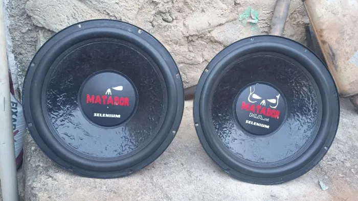 Autofalantes Selenium matador 15 polegadas
