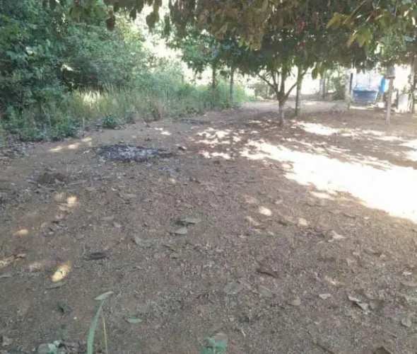 Vendo terreno no ramal do laranjal, estrada de manacapuru