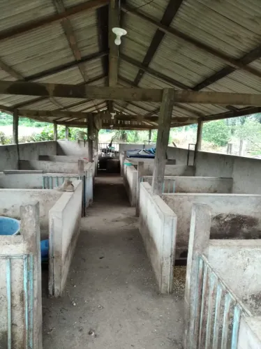 Chácara de 27000m² em Candeias