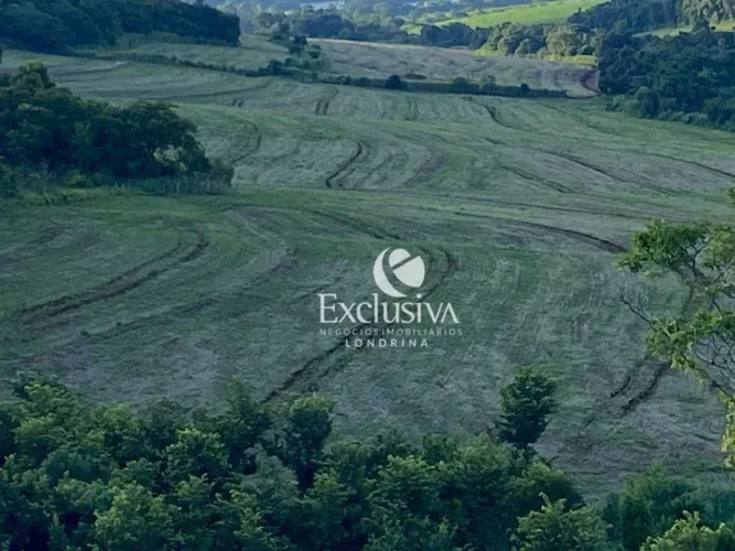Sítio à venda, 653400 m² - Pr 218 - Assaí/PR