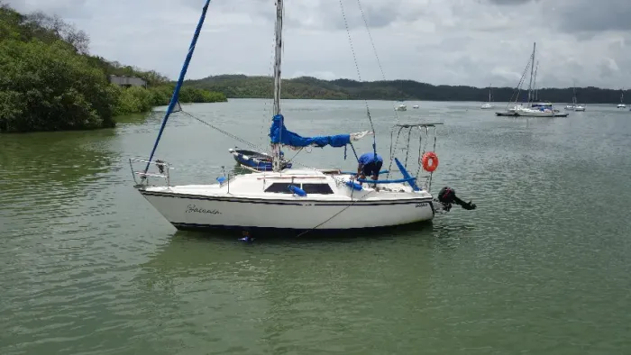 Velamar 27 - Albatroz