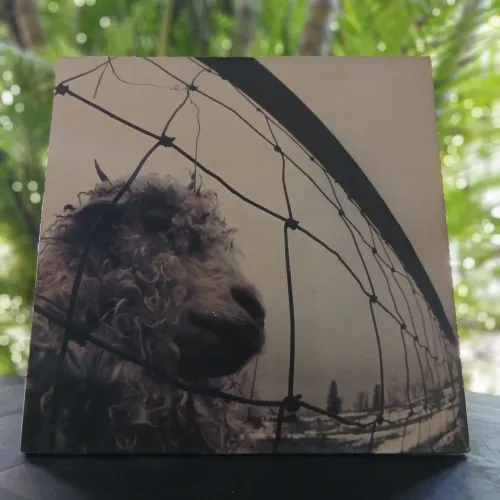 Vinil - Pearl Jam - Versus