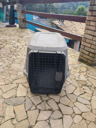 Caixa de transporte para pet grande