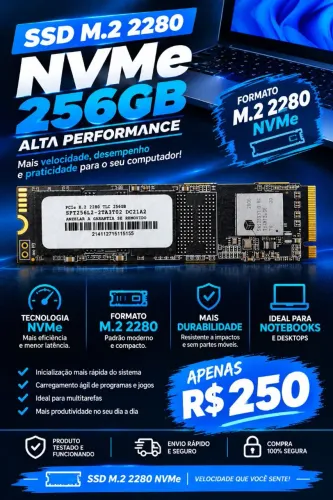 SSD M.2 2280 NVMe 256GB (Notebook/PC)