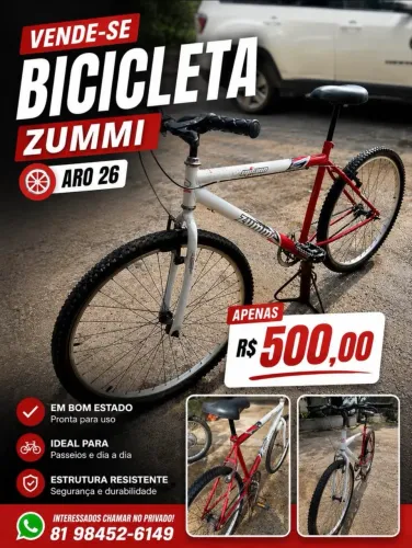 BICILETA ARO ZUMMI