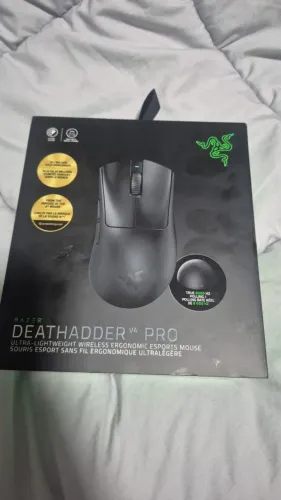 mouse