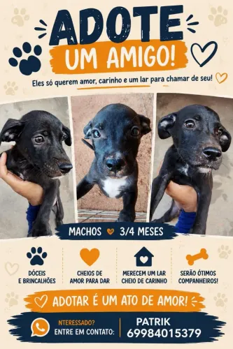 Doação responsável