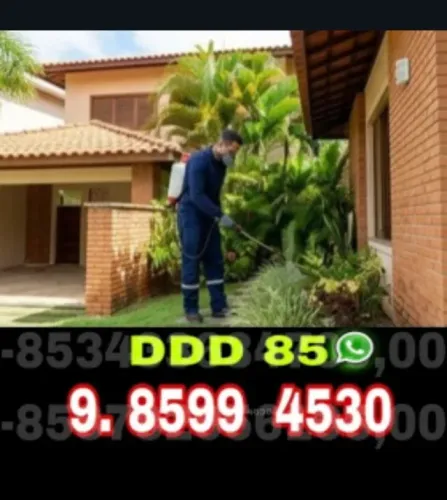 Dedetização Eficiente com Segurança e Qualidade Garantidas
