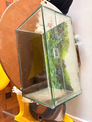 ? ? Aquário de Vidro 40 x 26 cm Completo - Ótimo Estado