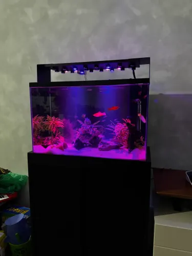 Aquário 70 litros 