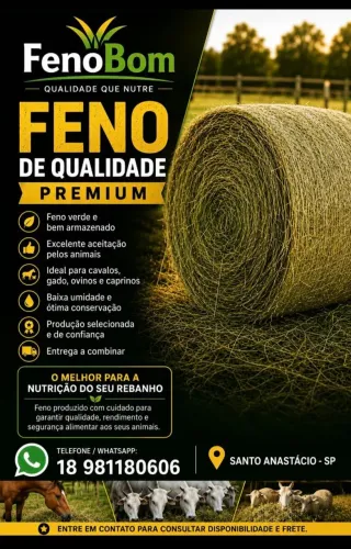 FENO BOM Dictyoneura