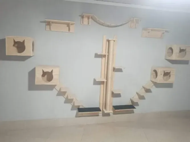 Playground para Gatos
