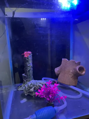 Vendo Aquário 121 litros