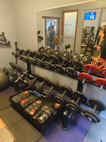 Mesa de dumbells vulcanizados emborrachados 12 kg ao 24 kg com suporte 