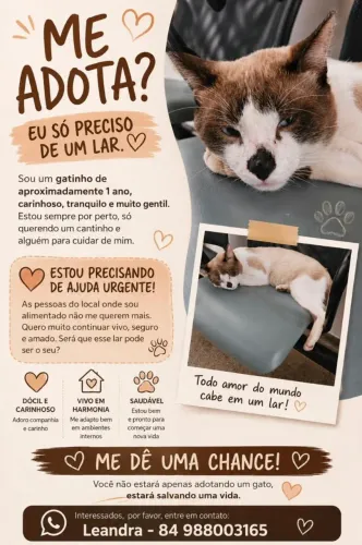 Adoção responsavel
