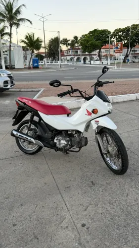 POP 110I 2021