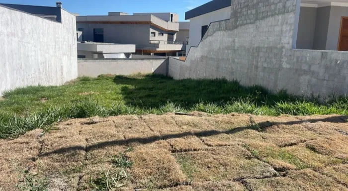 Excelente terreno. 