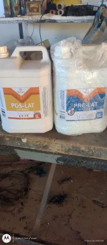 Higienizador líquido para vacas lactantes