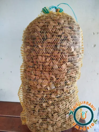 Chips de Coco 40L - Substrato para Orquídeas e Plantas - Pronta Entrega!