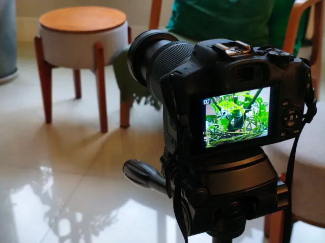 Camera Canon EOS R100 + Lentes + kits + Bolso + Tripé