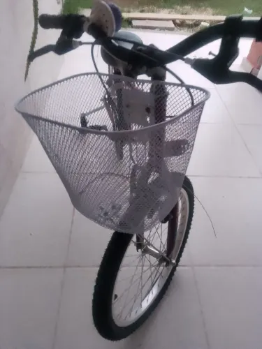 Bicicleta aro20