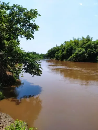 Fazenda/Sítio/Chácara para venda com 700000 metros quadrados com 3 quartos
