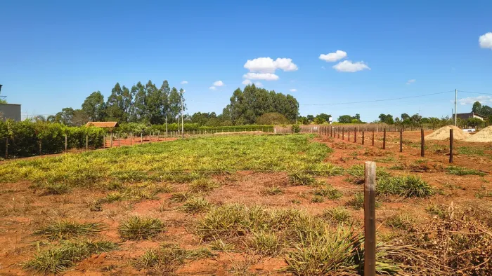 Chácara quitada Caturaí .1.540 mts