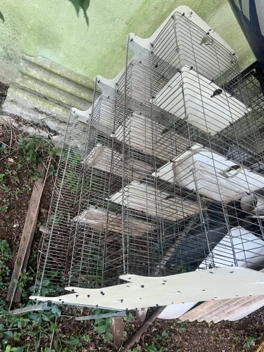 Gaiola para codorna