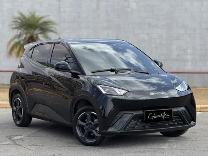 BYD Dolphin Mini (Elétrico) 2024