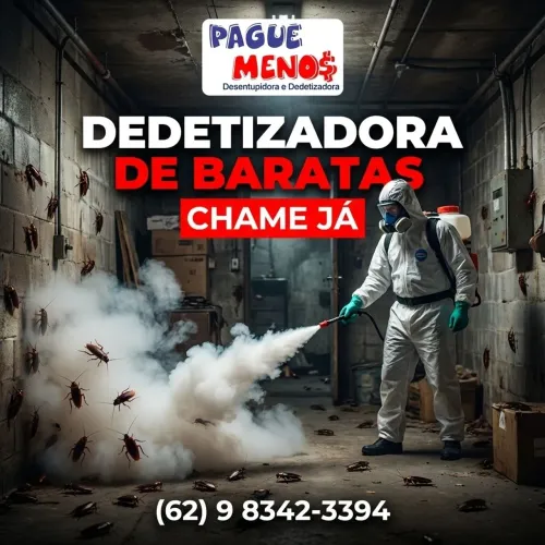 Dedetizadora 24 horas Dedetização/ Desentupidora e Desentupimento